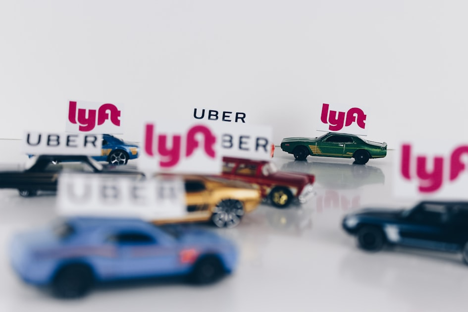 Long Distance Transport: What You Need to Know